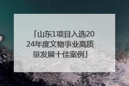 山东1项目入选2024年度文物事业高质量发展十佳案例