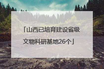 山西已培育建设省级文物科研基地26个