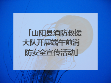 山阳县消防救援大队开展端午前消防安全宣传活动