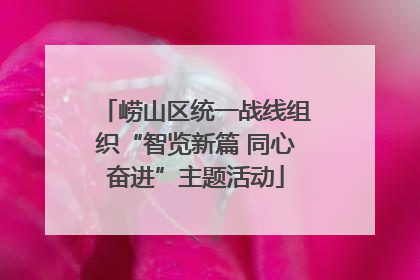 崂山区统一战线组织“智览新篇 同心奋进”主题活动