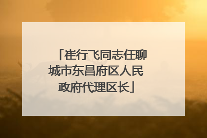 崔行飞同志任聊城市东昌府区人民政府代理区长