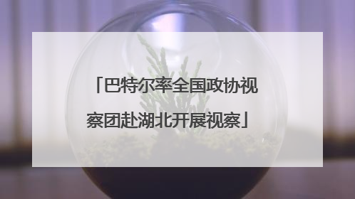 巴特尔率全国政协视察团赴湖北开展视察