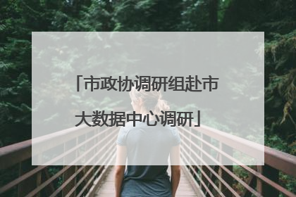 市政协调研组赴市大数据中心调研