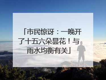 市民惊讶：一晚开了十五六朵昙花！与雨水均衡有关