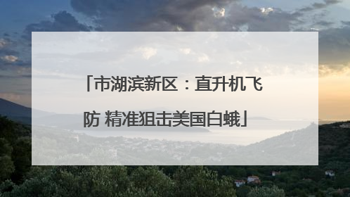 市湖滨新区：直升机飞防 精准狙击美国白蛾