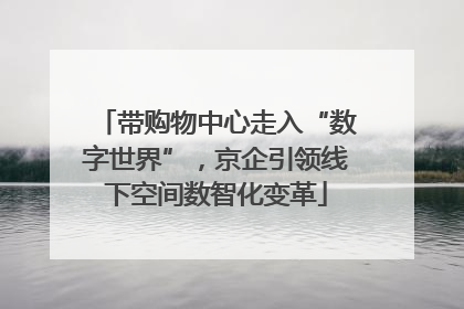 带购物中心走入“数字世界”，京企引领线下空间数智化变革