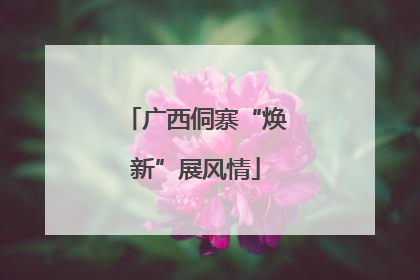 广西侗寨“焕新”展风情