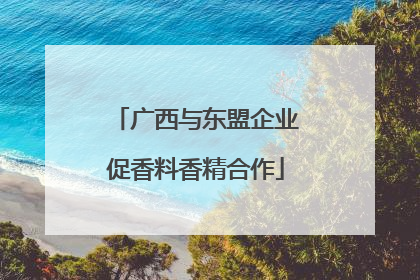 广西与东盟企业促香料香精合作