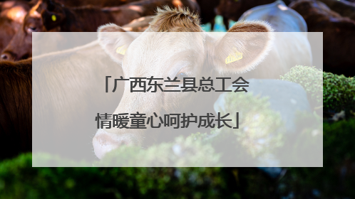 广西东兰县总工会情暖童心呵护成长