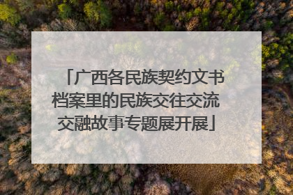 广西各民族契约文书档案里的民族交往交流交融故事专题展开展