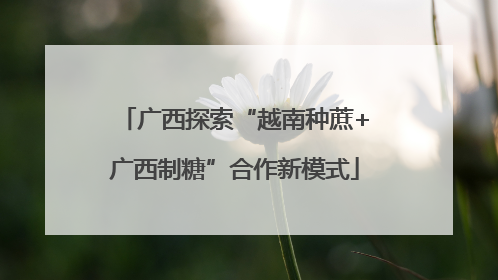 广西探索“越南种蔗+广西制糖”合作新模式