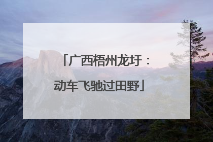 广西梧州龙圩：动车飞驰过田野