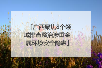 广西聚焦8个领域排查整治涉重金属环境安全隐患