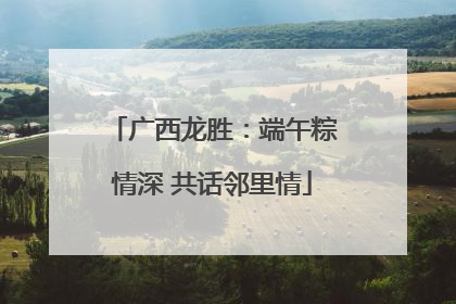 广西龙胜：端午粽情深 共话邻里情
