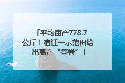 平均亩产778.7公斤！宿迁一示范田给出高产“答卷”