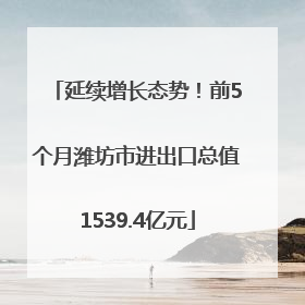 延续增长态势！前5个月潍坊市进出口总值1539.4亿元