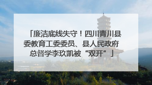 廉洁底线失守！四川青川县委教育工委委员、县人民政府总督学李玖凯被“双开”