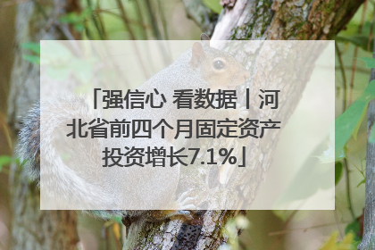 强信心 看数据丨河北省前四个月固定资产投资增长7.1%
