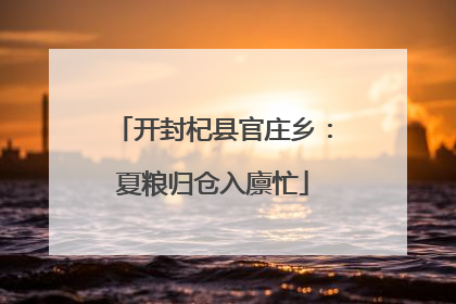 开封杞县官庄乡：夏粮归仓入廪忙