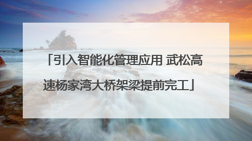 引入智能化管理应用 武松高速杨家湾大桥架梁提前完工
