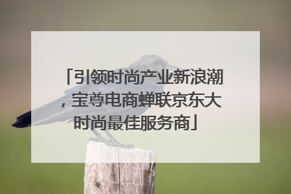 引领时尚产业新浪潮，宝尊电商蝉联京东大时尚最佳服务商