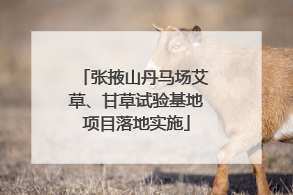 张掖山丹马场艾草、甘草试验基地项目落地实施