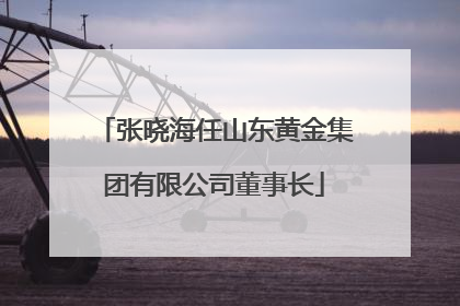 张晓海任山东黄金集团有限公司董事长