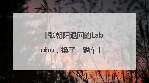 张朝阳退回的Labubu，换了一辆车