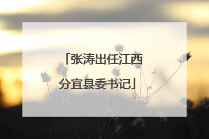 张涛出任江西分宜县委书记