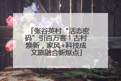张谷英村“活态密码”引百万客！古村焕新，家风+科技成文旅融合新爆点