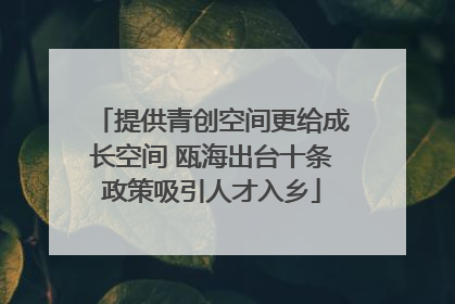 提供青创空间更给成长空间 瓯海出台十条政策吸引人才入乡