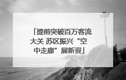 提前突破百万客流大关 苏区振兴“空中走廊”展新翼