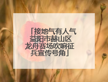 接地气有人气 益阳市赫山区龙舟赛场吹响征兵宣传号角