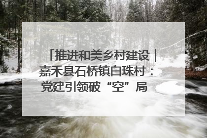 推进和美乡村建设｜嘉禾县石桥镇白珠村：党建引领破“空”局 乡贤聚力绘就新图景