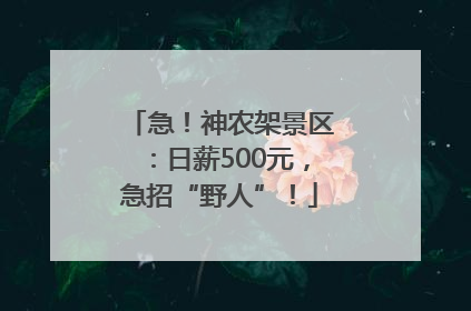 急！神农架景区：日薪500元，急招“野人”！