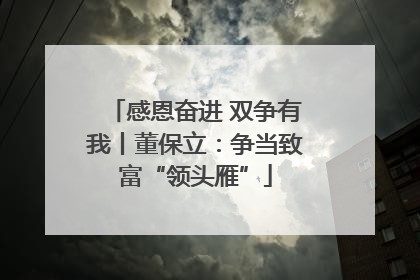 感恩奋进 双争有我丨董保立：争当致富“领头雁”