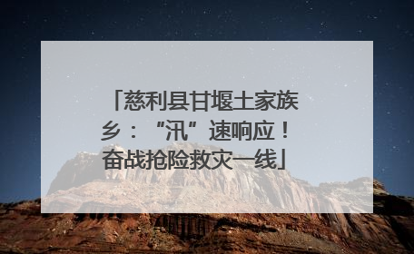 慈利县甘堰土家族乡：“汛”速响应！奋战抢险救灾一线