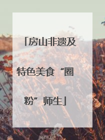 房山非遗及特色美食“圈粉”师生