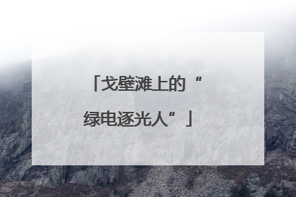 戈壁滩上的“绿电逐光人”