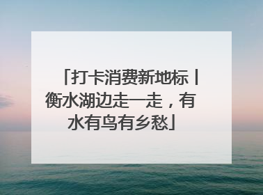 打卡消费新地标丨衡水湖边走一走，有水有鸟有乡愁