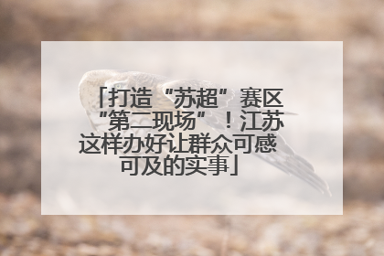 打造“苏超”赛区“第二现场”！江苏这样办好让群众可感可及的实事