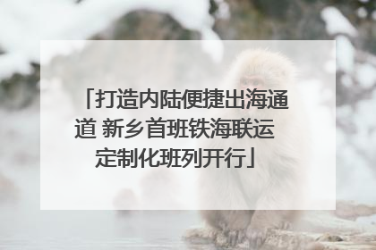 打造内陆便捷出海通道 新乡首班铁海联运定制化班列开行