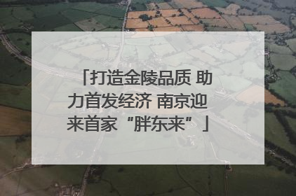 打造金陵品质 助力首发经济 南京迎来首家“胖东来”