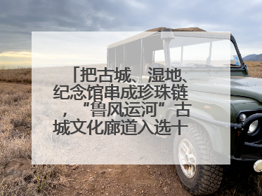 把古城、湿地、纪念馆串成珍珠链，“鲁风运河”古城文化廊道入选十大最美农村路