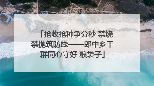 抢收抢种争分秒 禁烧禁抛筑防线——郎中乡干群同心守好 粮袋子