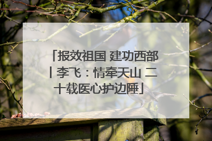 报效祖国 建功西部丨李飞：情牵天山 二十载医心护边陲