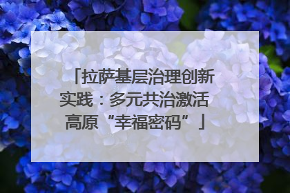 拉萨基层治理创新实践：多元共治激活高原“幸福密码”