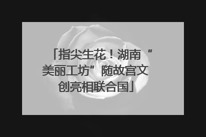 指尖生花！湖南“美丽工坊”随故宫文创亮相联合国