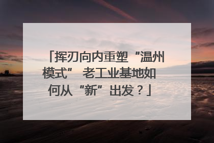 挥刃向内重塑“温州模式” 老工业基地如何从“新”出发？