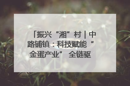 振兴“湘”村｜中路铺镇：科技赋能“金蛋产业” 全链驱动乡村振兴